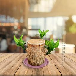 https://cdn.boosterbazar.com/public/product-images/71JZtB5n_7L__SX679__1726218229012.jpg