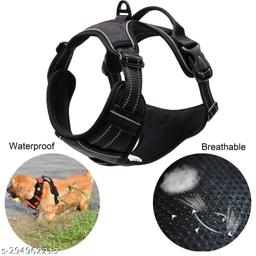 https://images.meesho.com/images/products/294962213/iwrs6.jpg