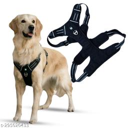 https://images.meesho.com/images/products/295020433/jkmhr.jpg