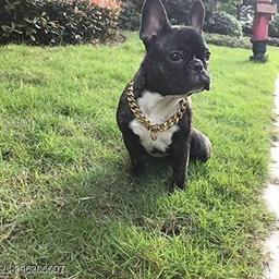 https://images.meesho.com/images/products/296206007/ynt2m.jpg