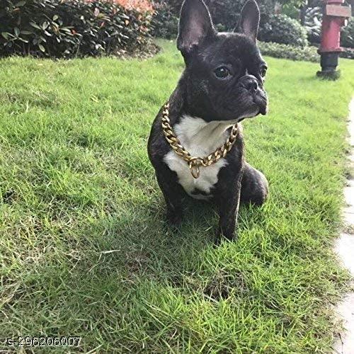SET PET .Dog Collar Chain, Brass Golden Chrome Plated I Dog Collar for Large & Medium Size Dogs I Length of Choke Chain I 10 NO 24 Inch 1 PCS