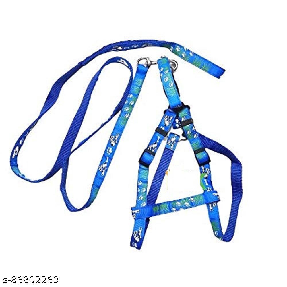 SET PET Night  Adjustable Harness & Leash Set for Smal Dogs , 10 mM (Color May Vary)